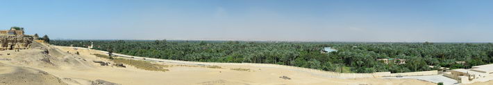 Vue sur la palmeraie de Memphis depuis le plateau de Saqqarah. Au fond à gauche, le sud de la métropople du Caire Memphis